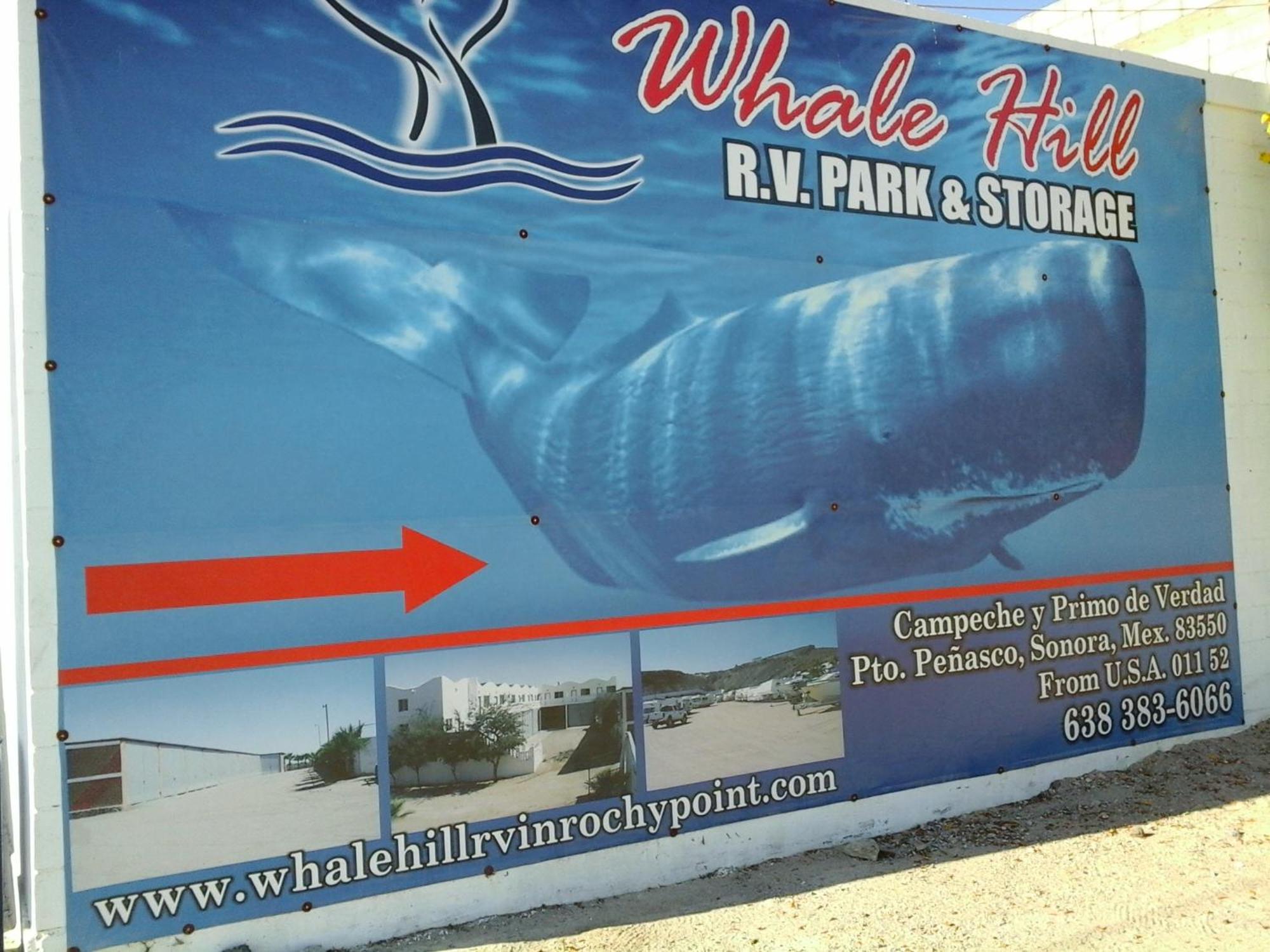 אפרטהוטל פורטו פנאסקו Whale Hill חדר תמונה